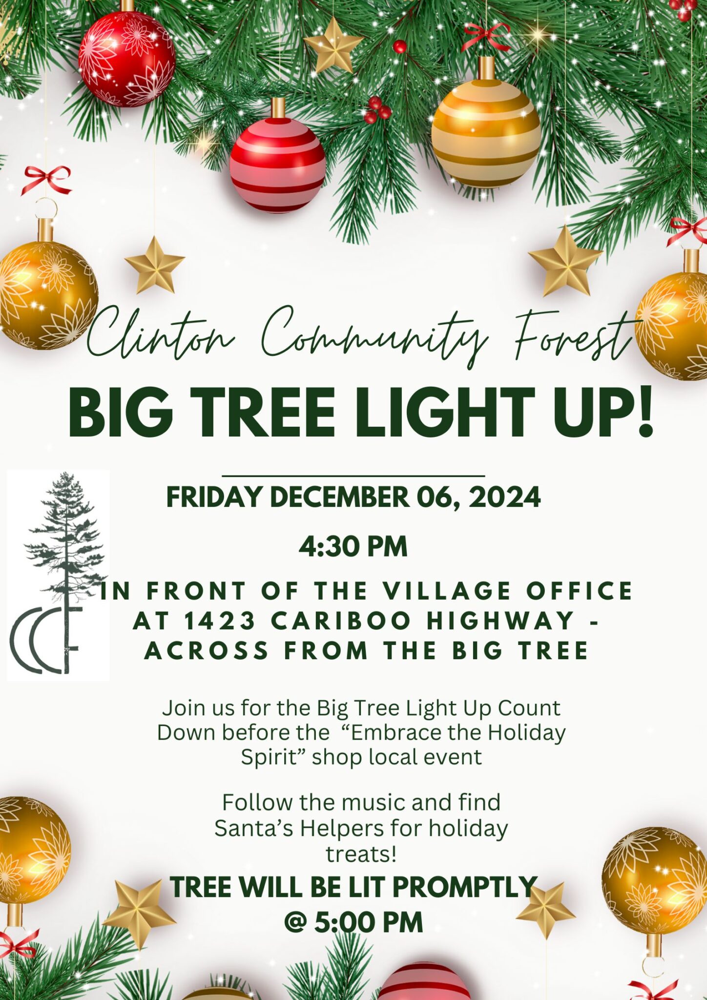 2024 CCF BIG TREE LIGHT UP! – Clinton Community Forest
